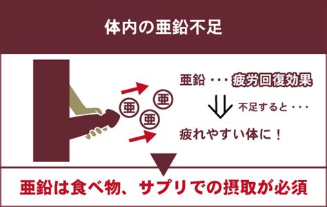 【オナニーの翌日に疲れる理由】次の日に疲労感を残さない方法